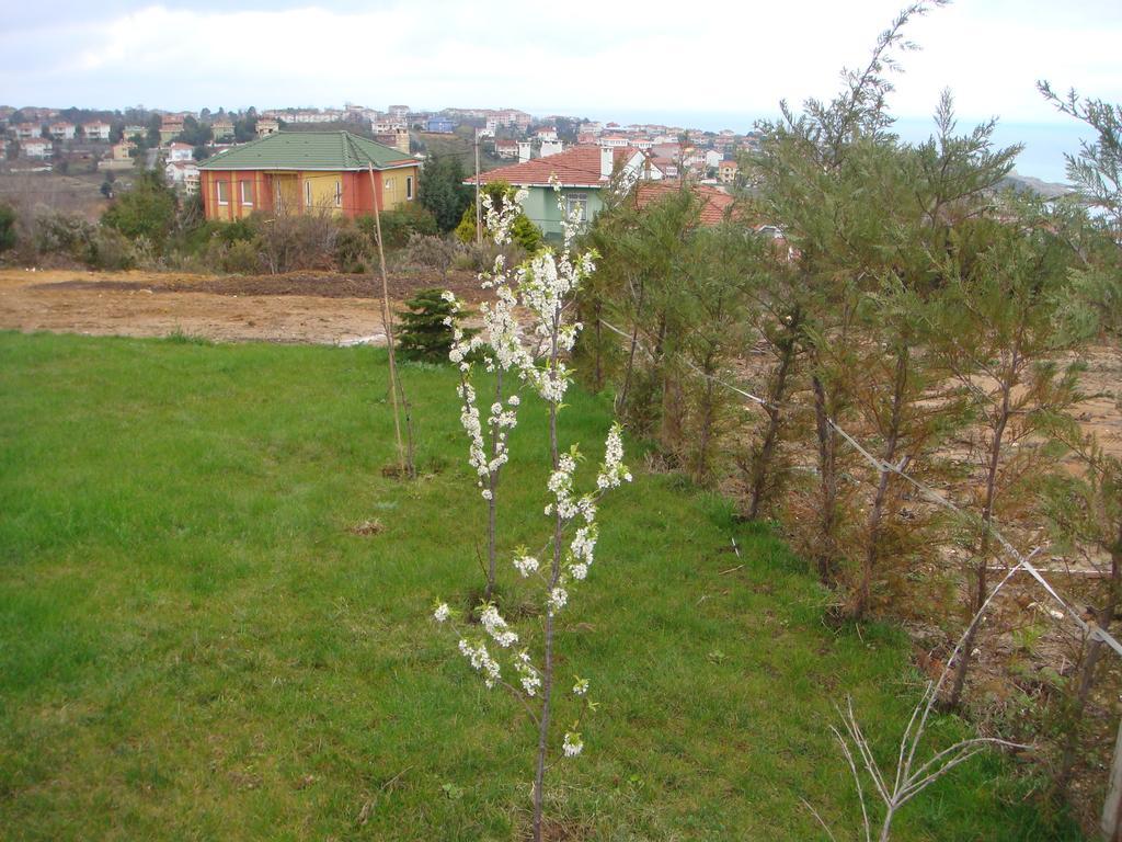 Titanik Pansiyon Ağva Exterior foto